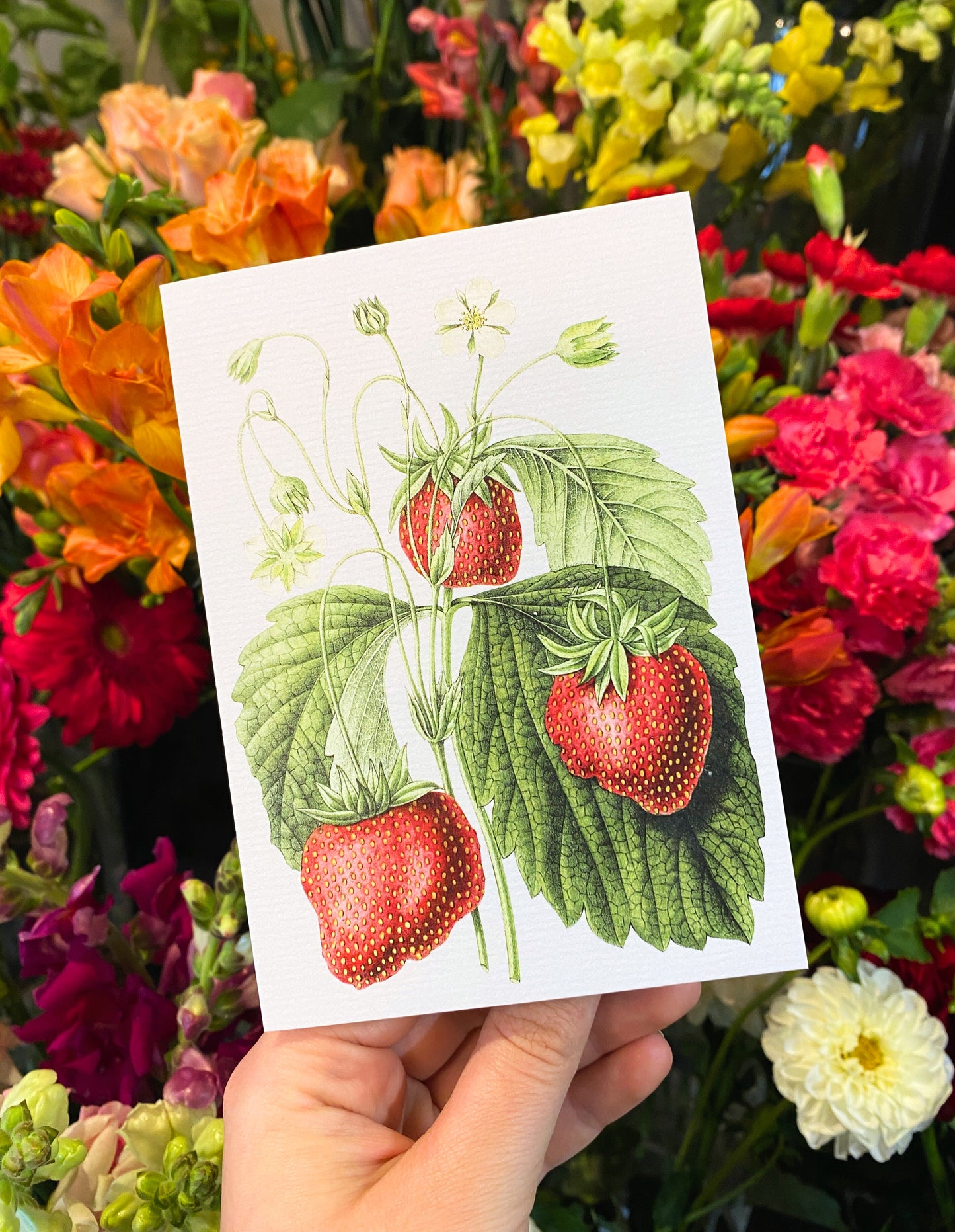 Greeting Card | Strawberries