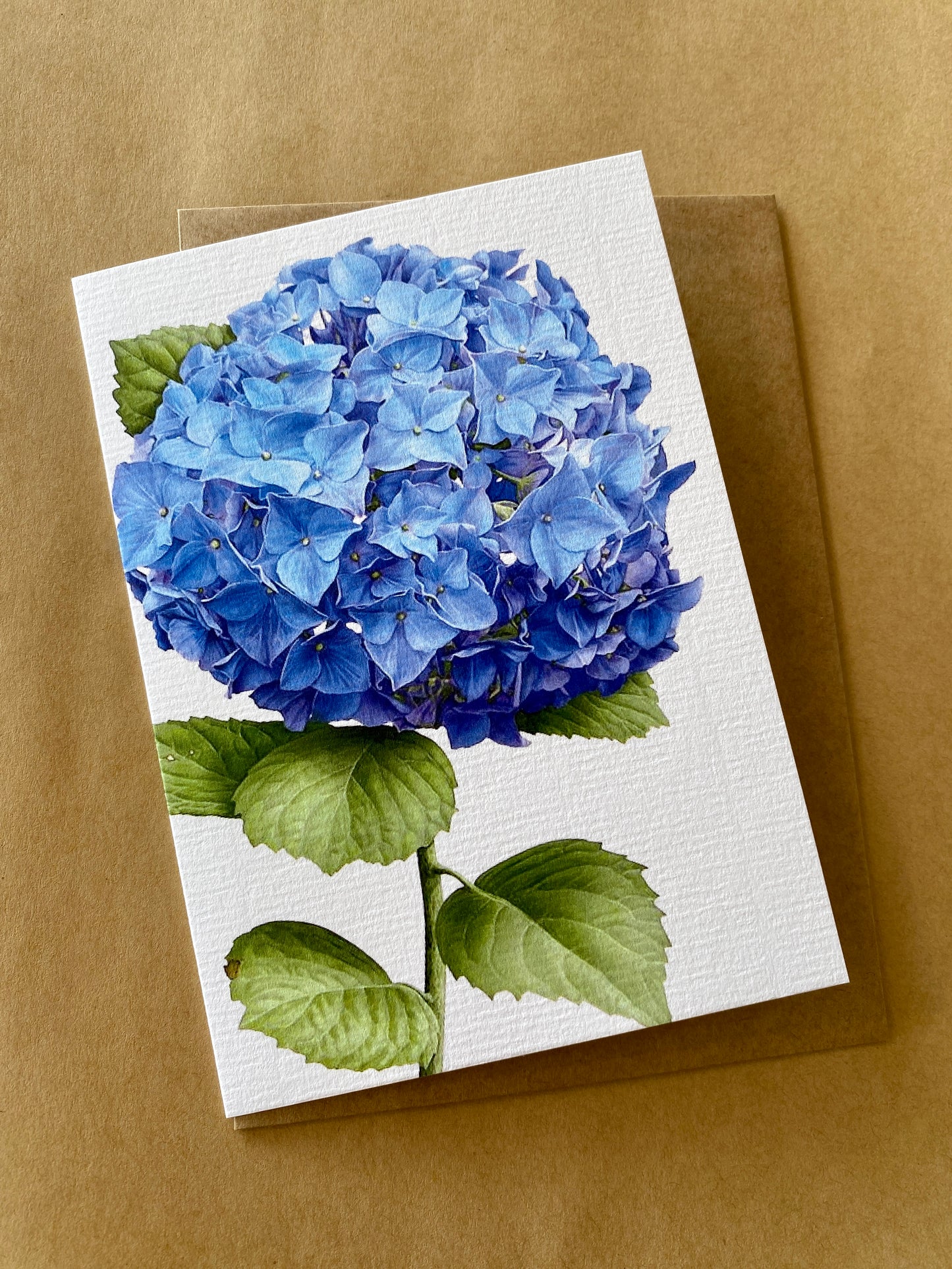 Greeting Card | Blue Hydrangea