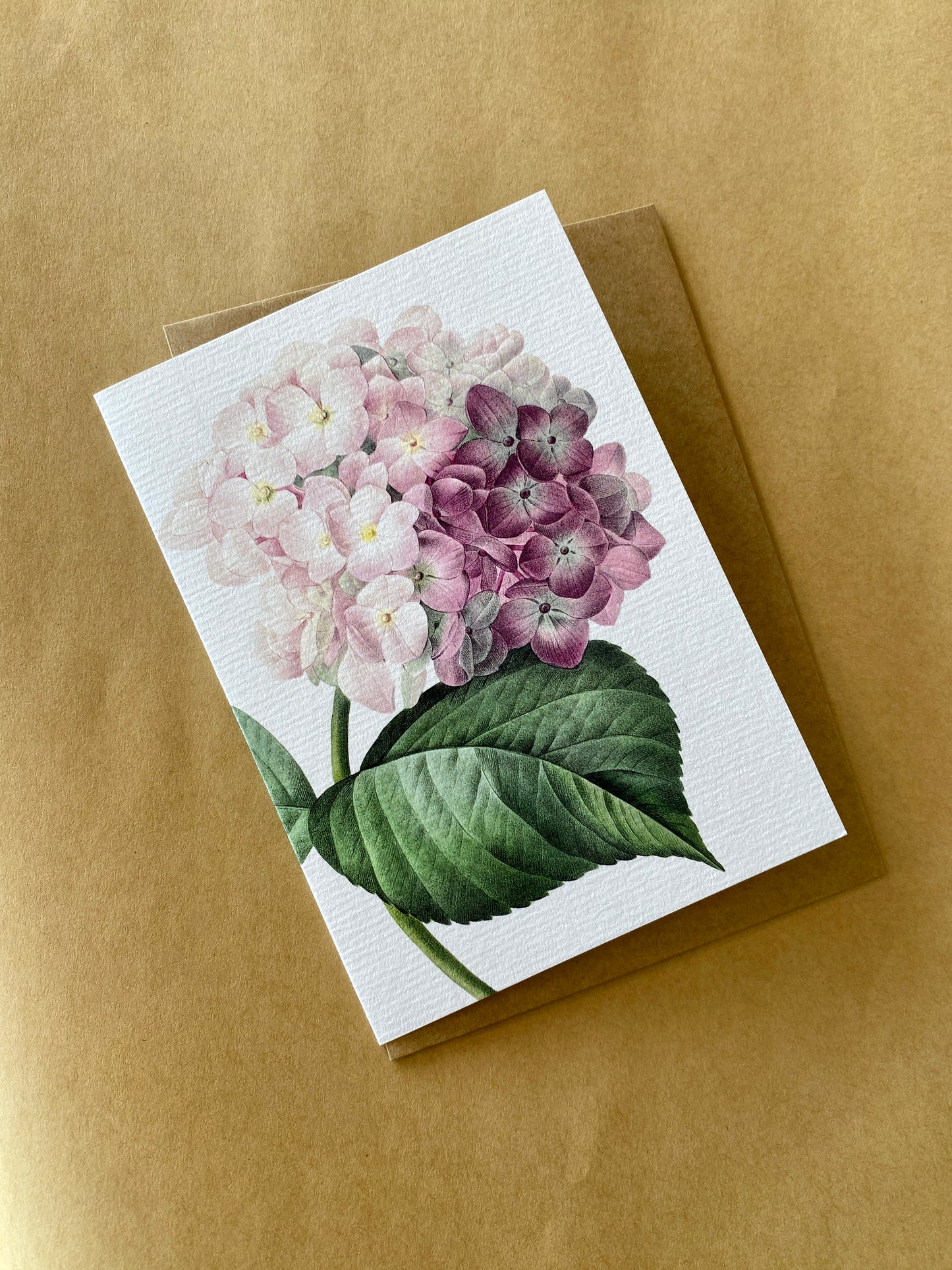 Greeting Card | Pink Hydrangea