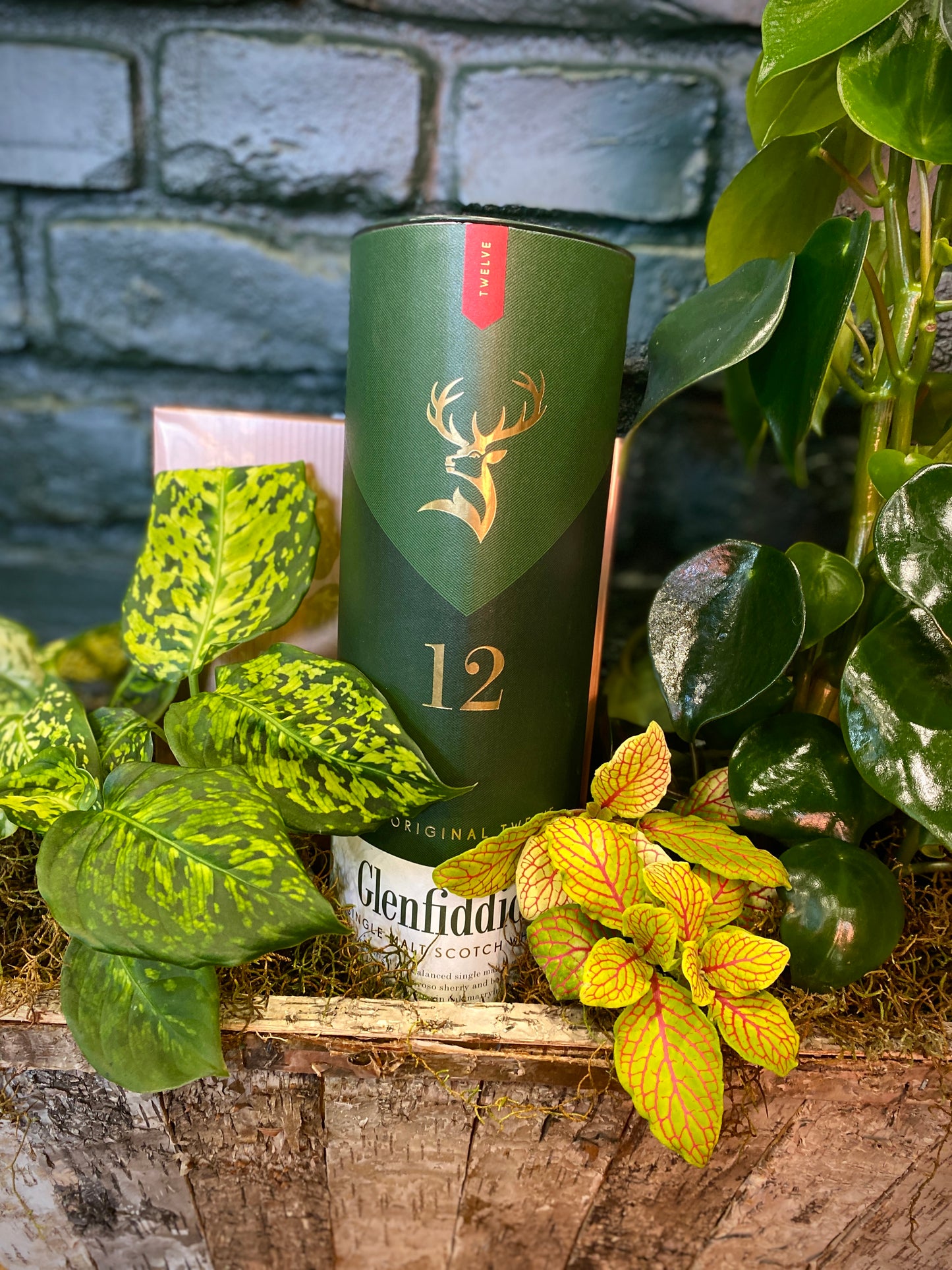 The Gentleman's Grove feat. Glenfiddich & Little Biddy