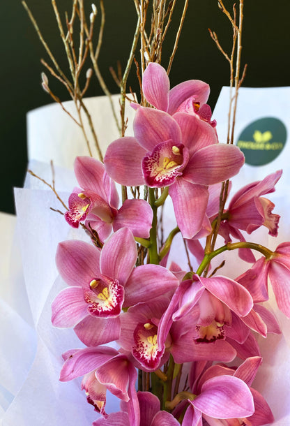 Weekly Special! Cymbidium Bouquet with Colestown Chocolates