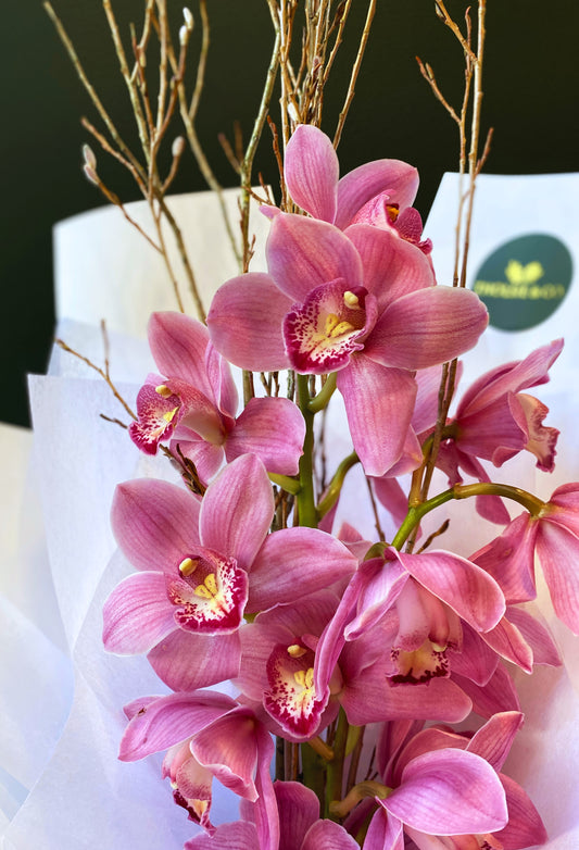Weekly Special! Cymbidium Bouquet with Colestown Chocolates