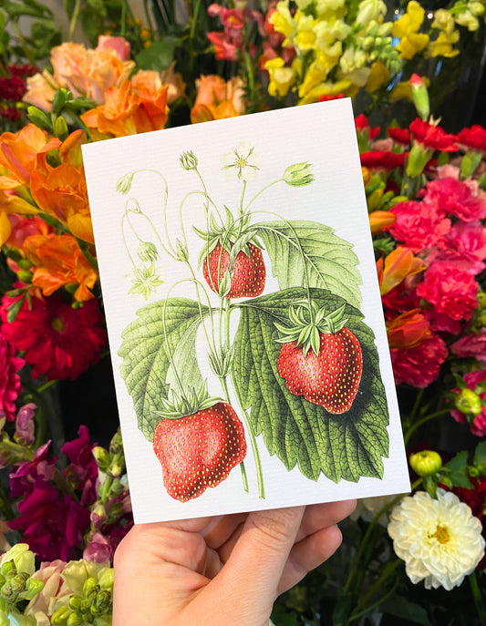 Greeting Card | Strawberries