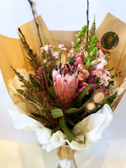 Blushing Protea | Winter Special