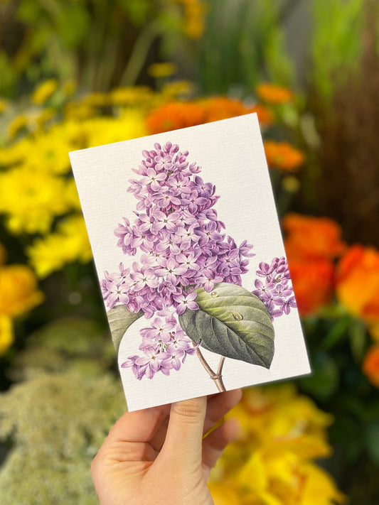 Greeting Card | Lilac