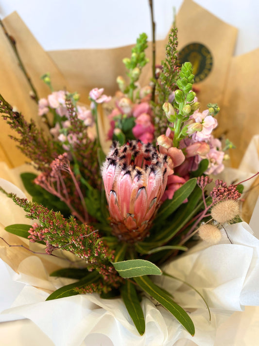 Blushing Protea | Winter Special