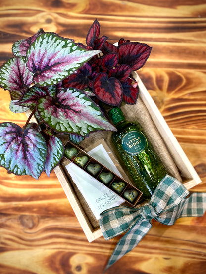 Gin-gle Bells | Festive Hamper feat. Little Biddy Gin