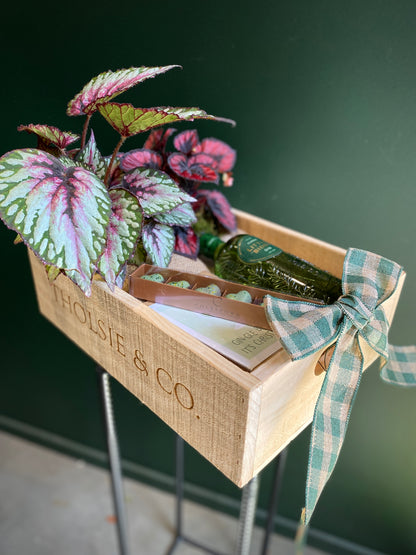 Gin-gle Bells | Festive Hamper feat. Little Biddy Gin