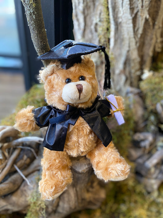 Graduation Teddy Bear