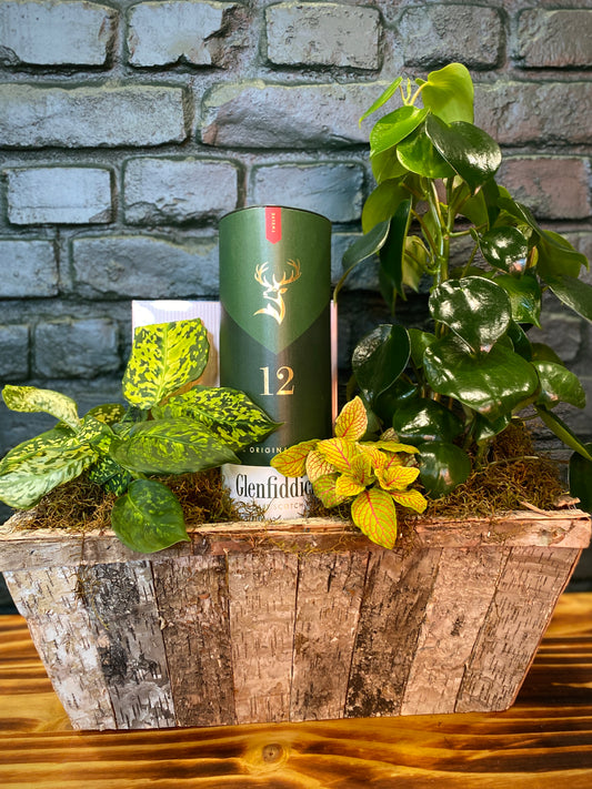 The Gentleman's Grove feat. Glenfiddich & Little Biddy
