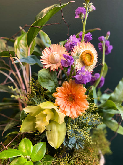 Little Eden | Planter Bowl