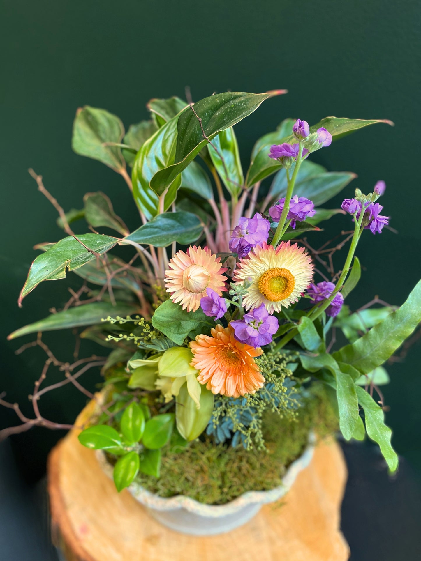 Little Eden | Planter Bowl